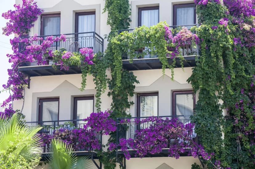 Golden Age Crystal Bodrum - All inclusive