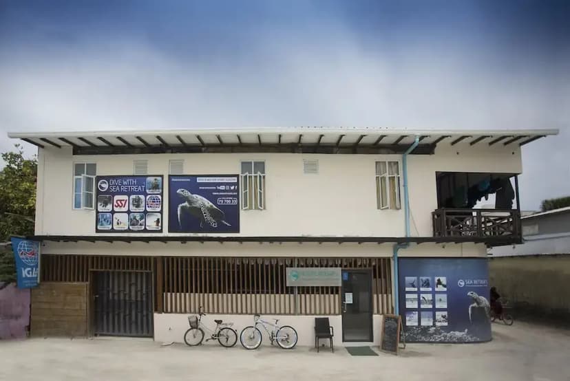 Surf Yoga Camp