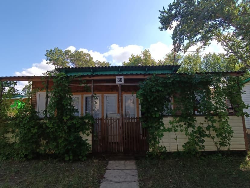 Белый лебедь