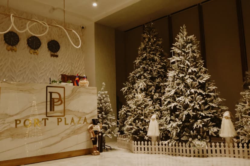 Port Plaza EVN