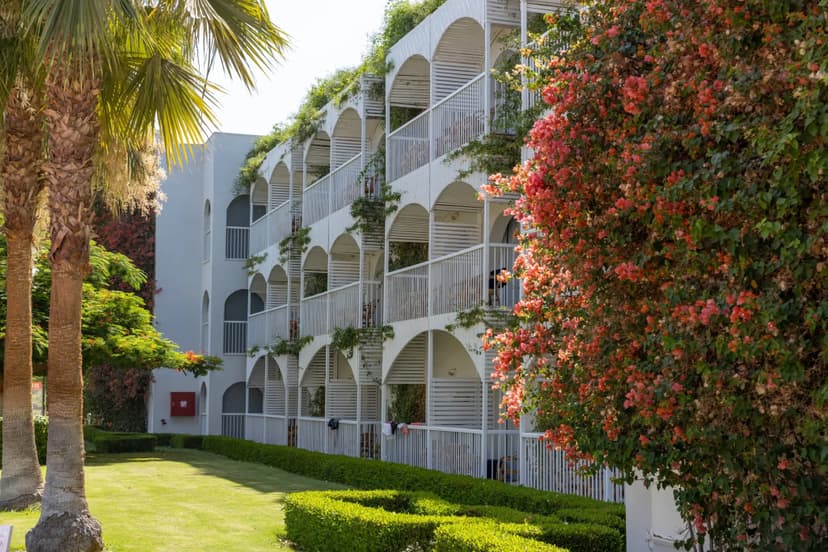 Desert Rose Resort