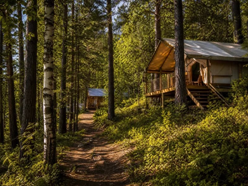 Eco-camping on the shore of Baikal