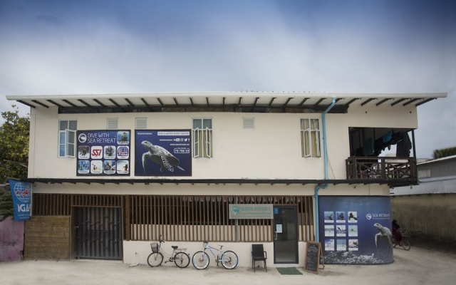 Surf Yoga Camp