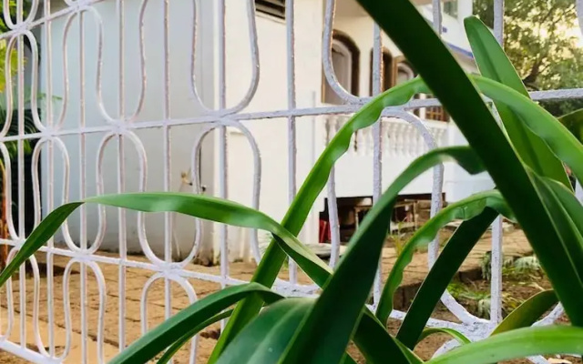 The Bodhi Tree Resort