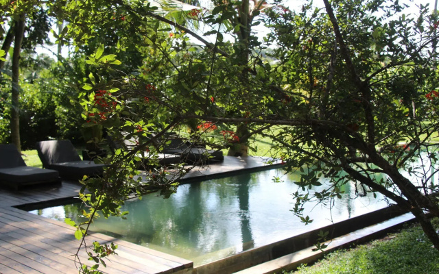 Kaju Green Eco Lodges Hotel