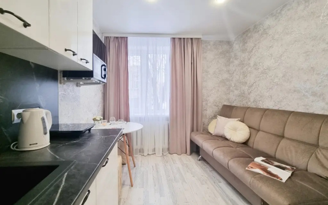 LovelyHome39 U Korolevskih Vorot Studiya 2 Apartments